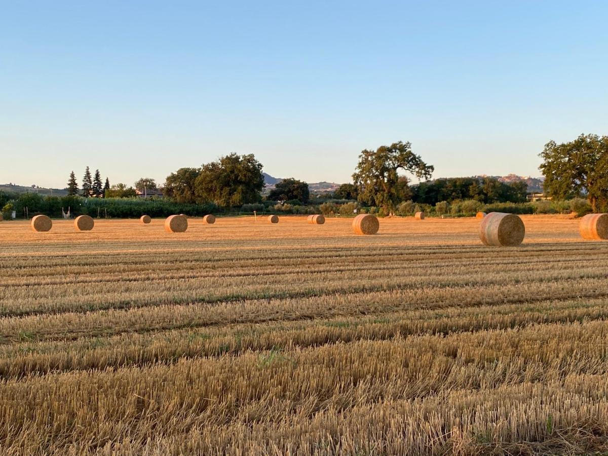 Ca Baruffa B&B SantʼArcangelo di Romagna Kültér fotó